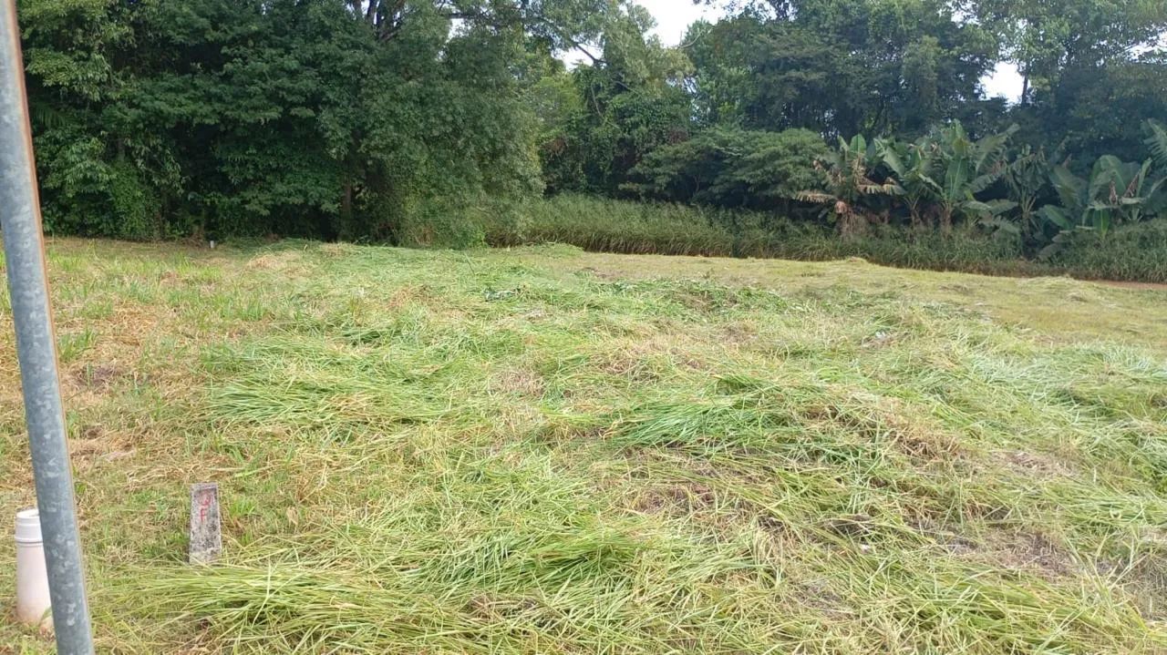 Venda  - Foto 4