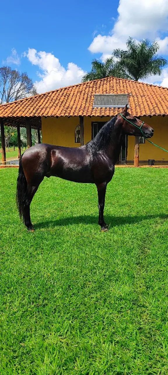 Aluguel de Baías  - Foto 3