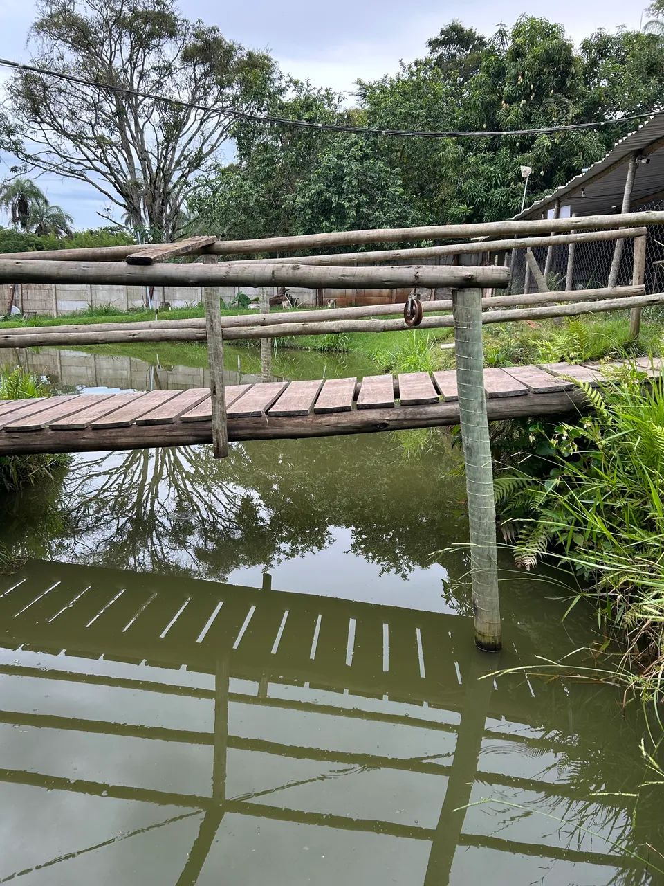 Vendo Pesque Pague de Porteira Fechada  - Foto 3