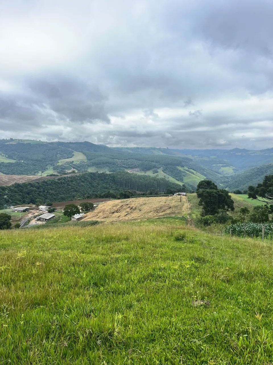 Terreno na serra  - Foto 2