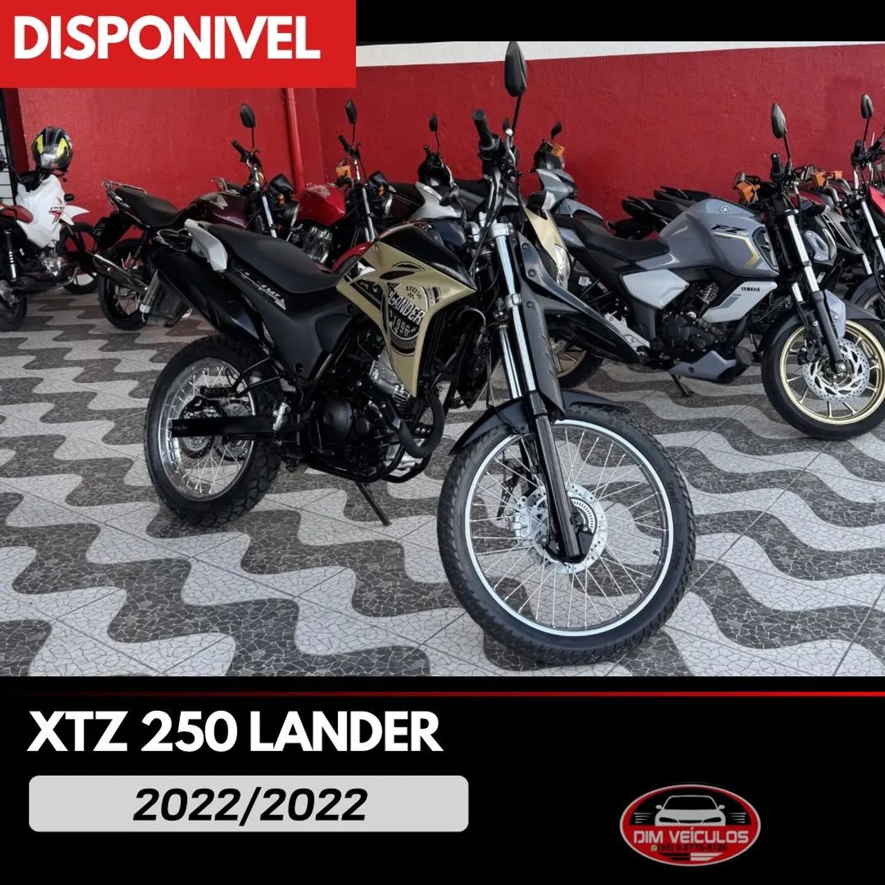 Lander Yamaha 