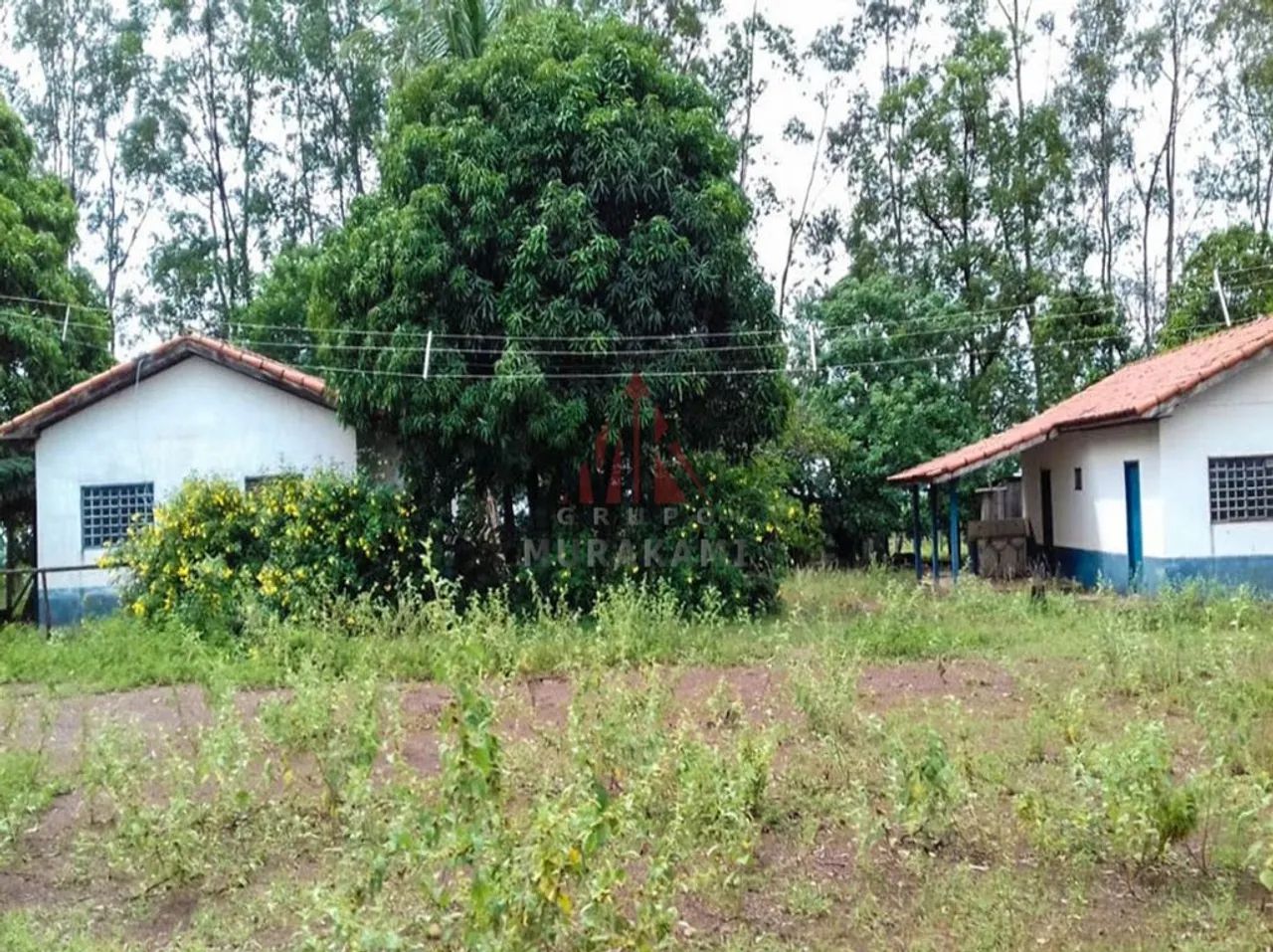 FAZENDA - PARANATINGA - MT - Foto 3