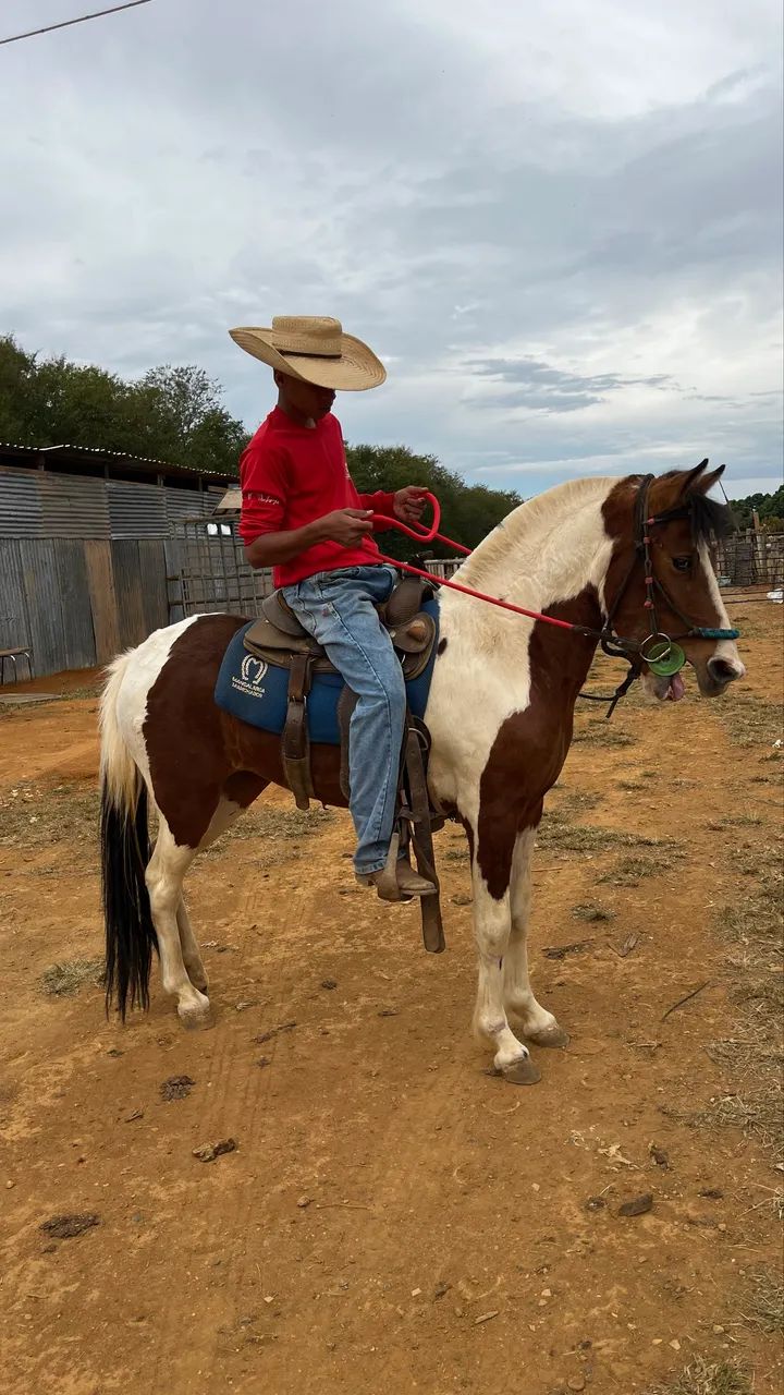 VENDE-SE égua piquira - Foto 3