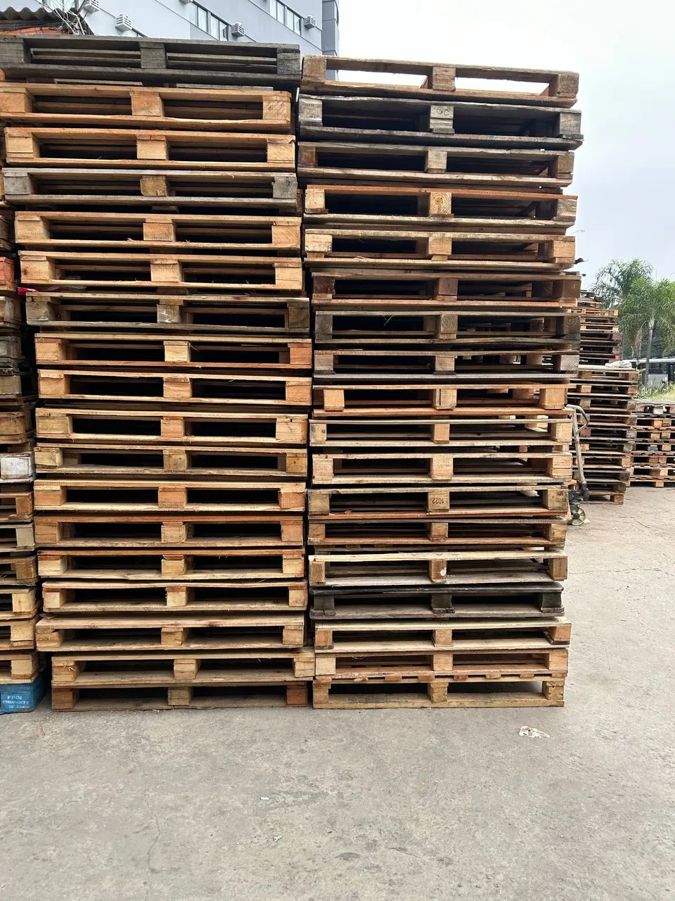 Pallets descartáveis  - Foto 2