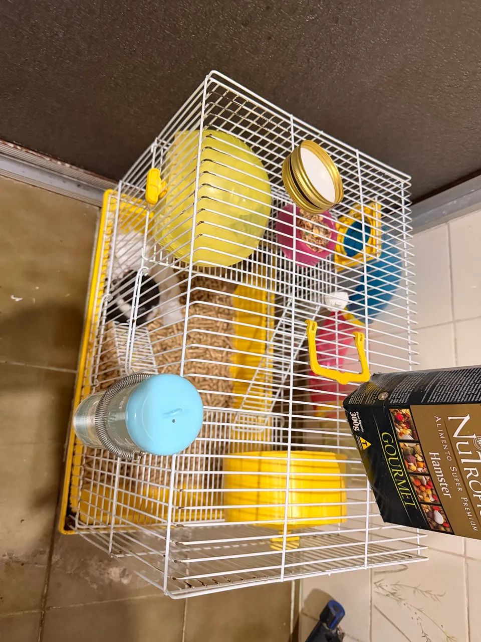 Vendo LINDO Hamster com gaiola e tudo ! 