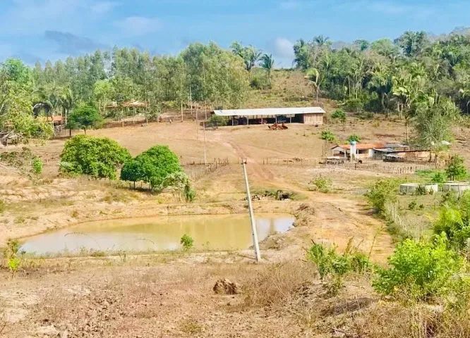 FAZENDA EM  VARGEM GRANDE - Foto 6