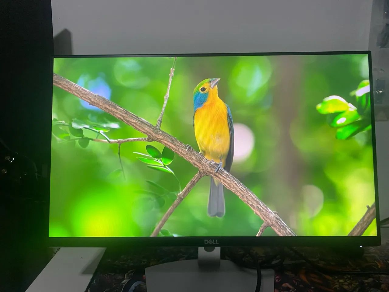 Monitor Dell S2421HT Impecável - Foto 4