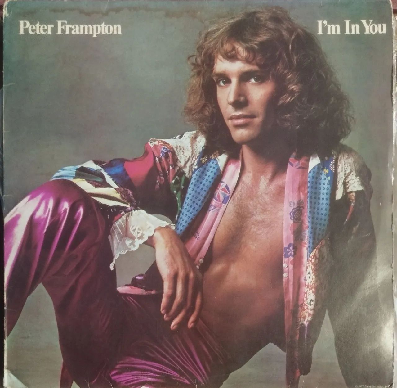 LP Peter Frampton I'm In you 1977