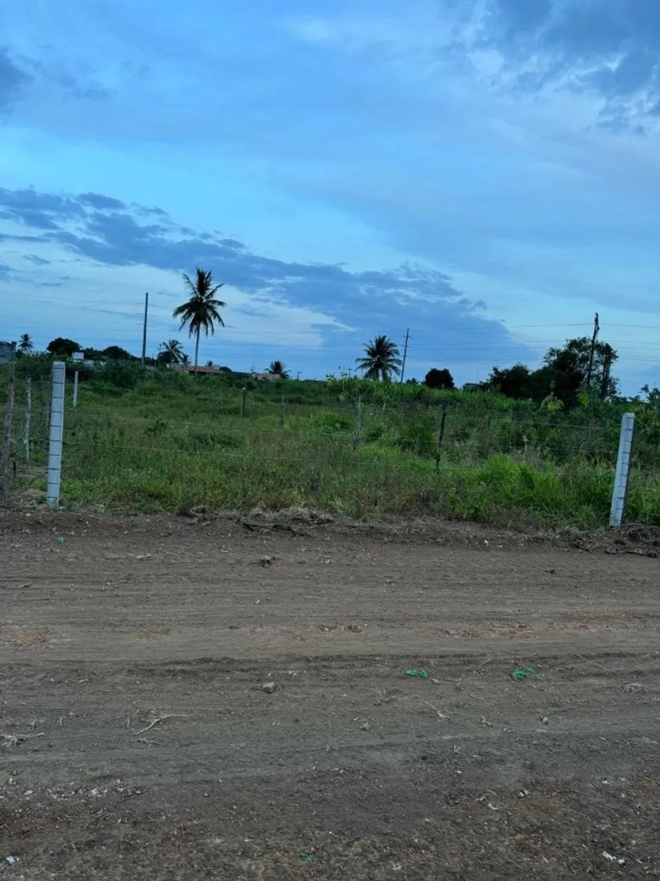 LOTE 7MT (LARGURA) X 21MT (COMPRIMENTO)
