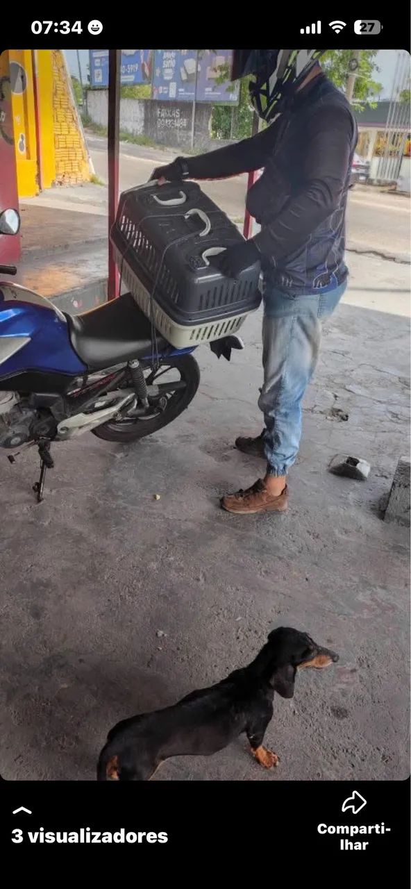 TRANSPORTE PET ? - Foto 5