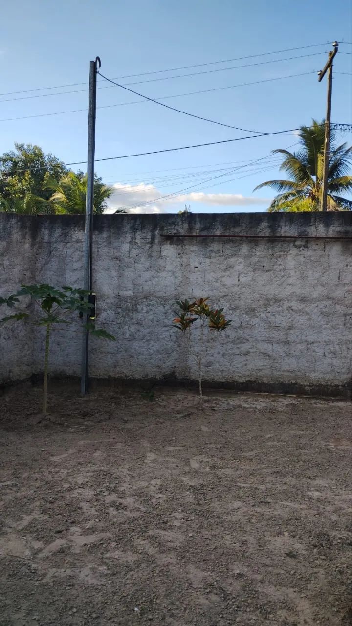 Mini Sítio  - Foto 4