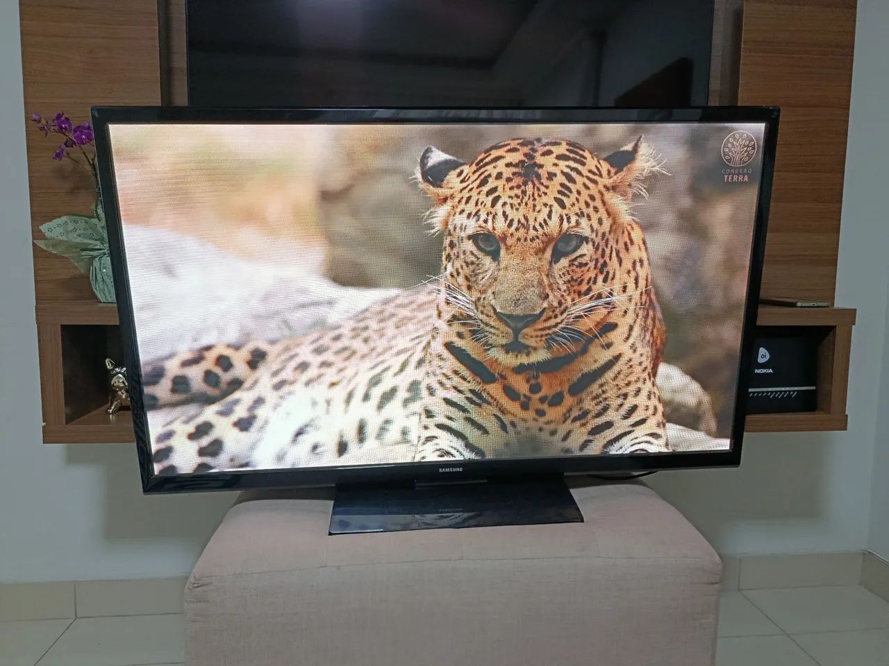 Tv Samsung 51 Funcionando Perfeitamente Entrego !!!