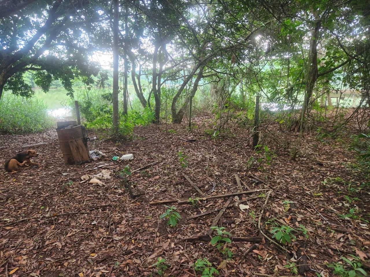 CHÁCARA BEIRA D?água INDIANOPOLIS - Foto 5
