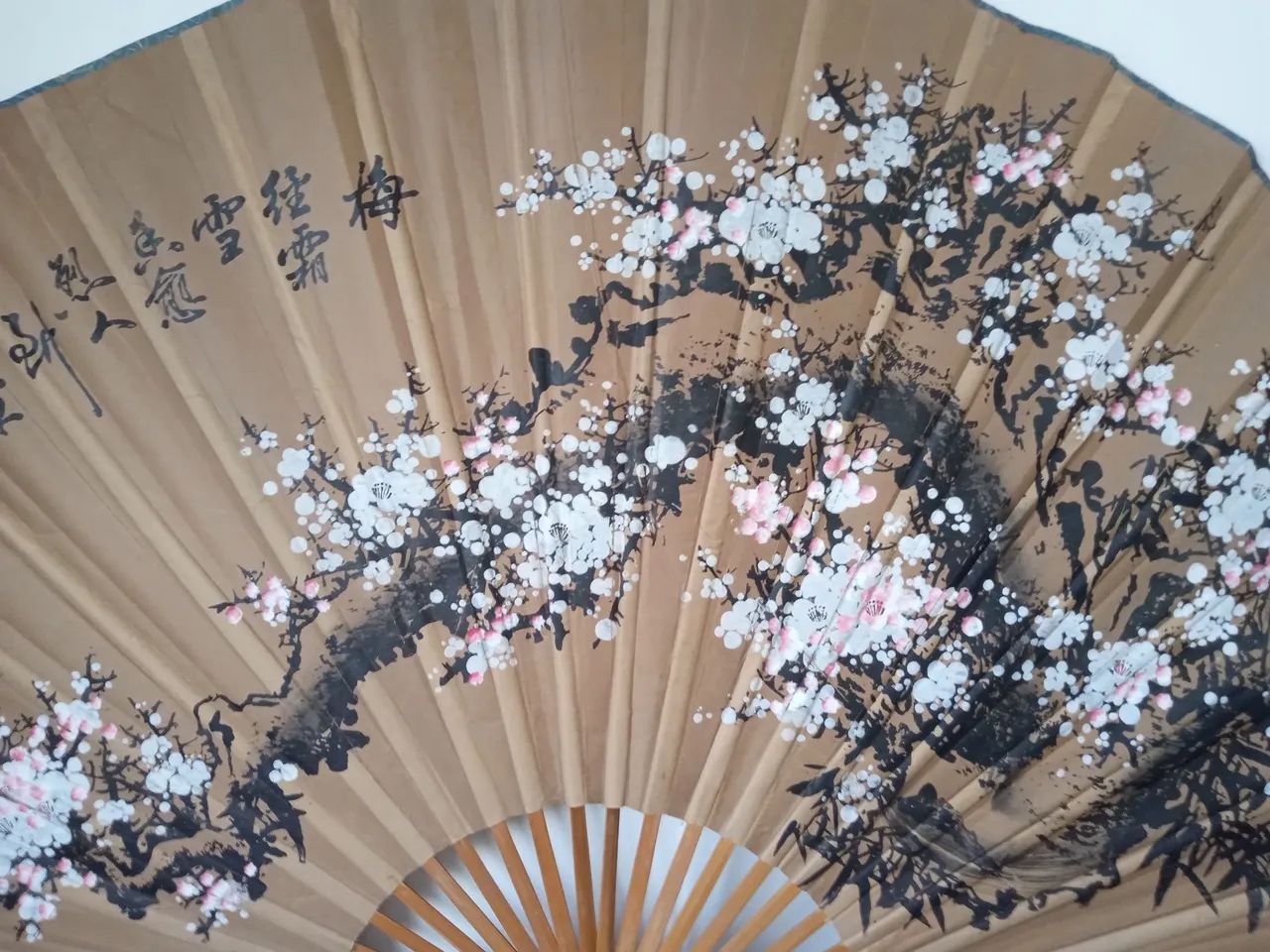 Leque Gigante oriental chinês  - Foto 3