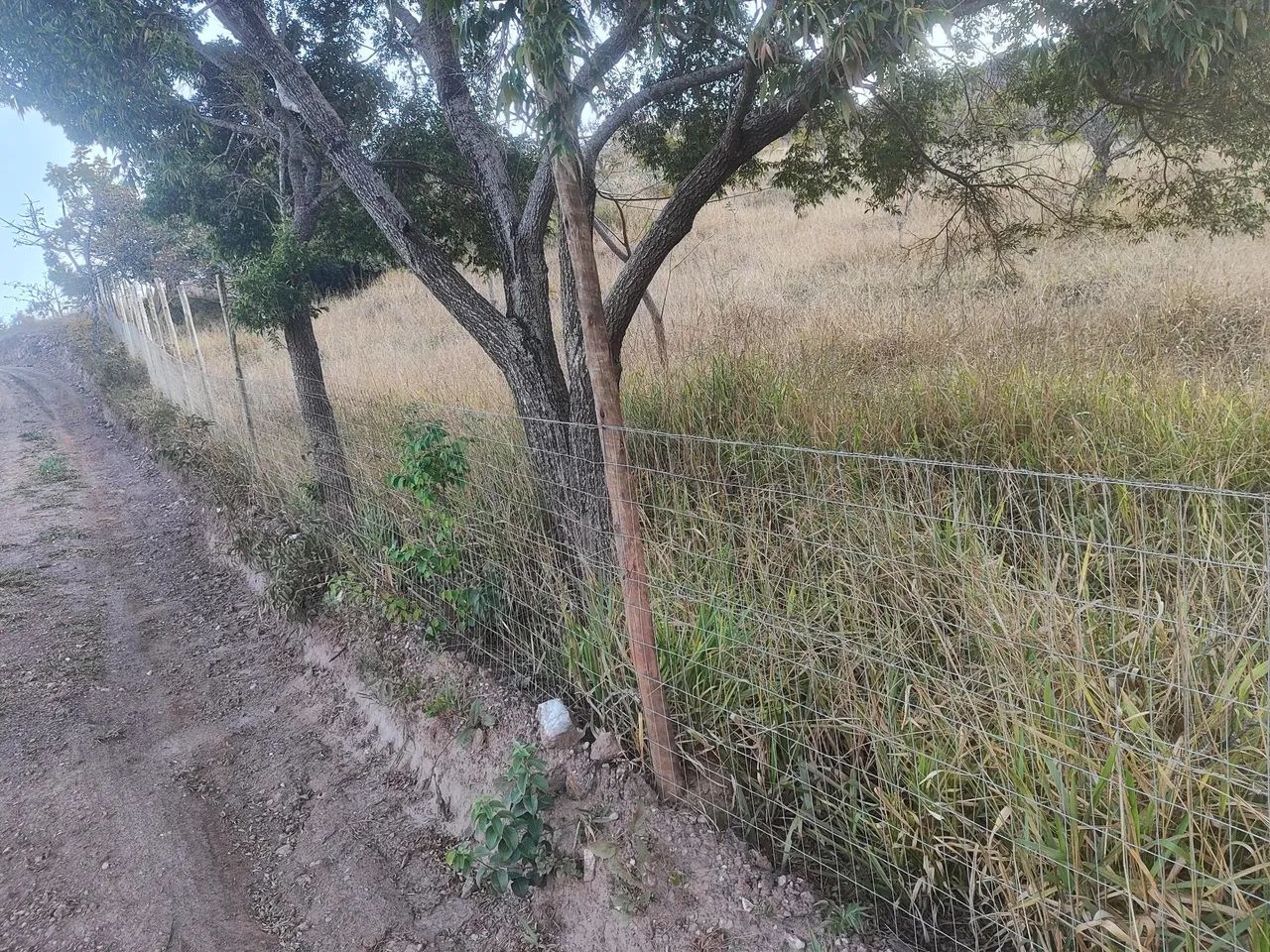 Vendo lote em Lapinha da Serra 1000 mts - Foto 4