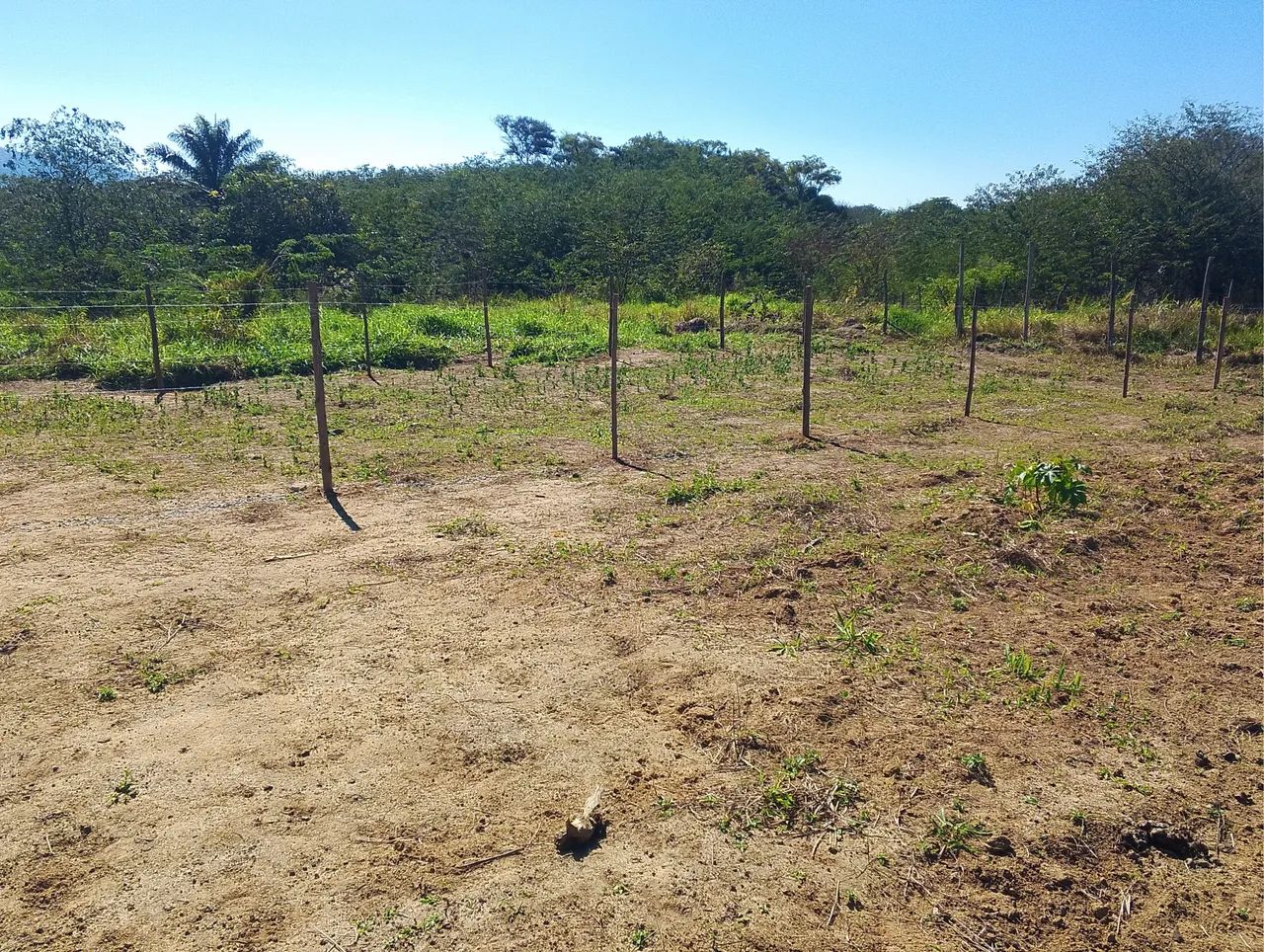 Terreno na entrada da estrada das Palmeiras - Foto 5