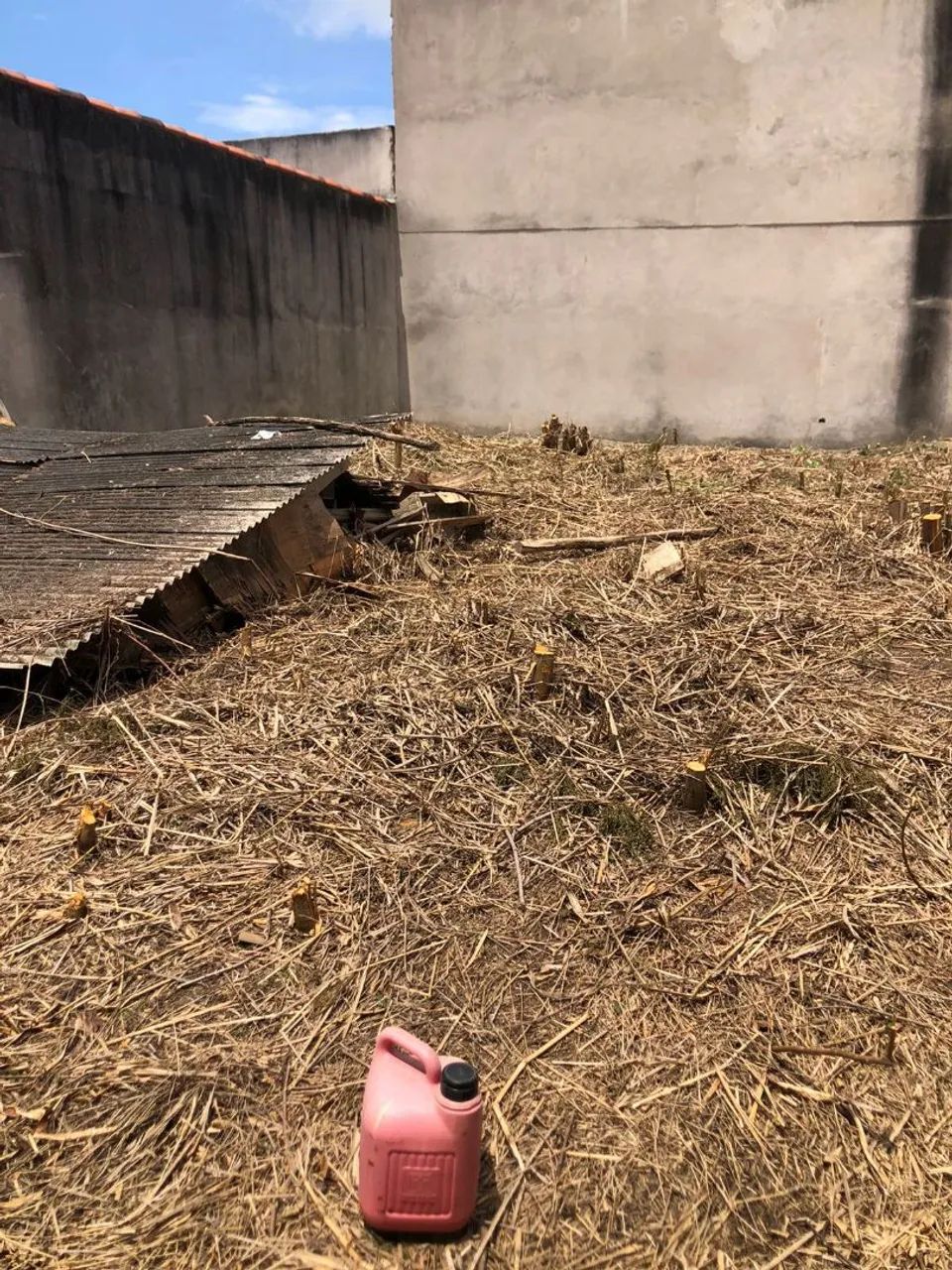 Aluga-se terreno sem benfeitorias - Foto 4