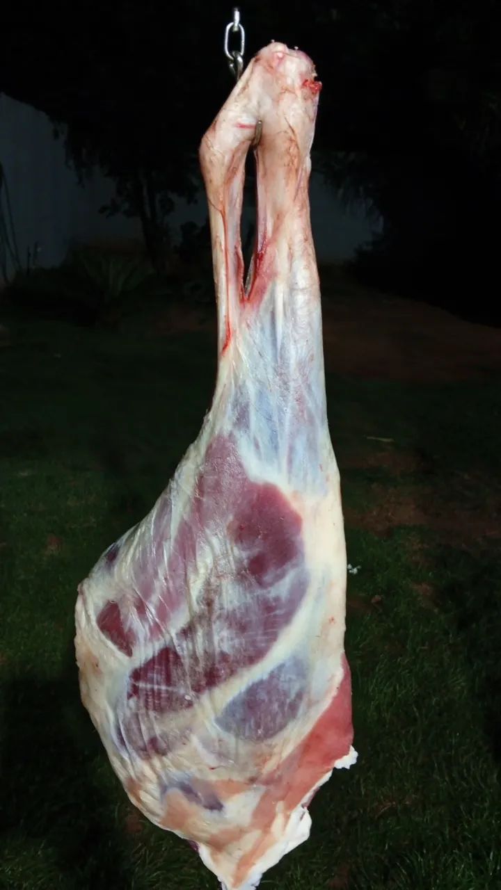 Carne de cordeiro  - Foto 3