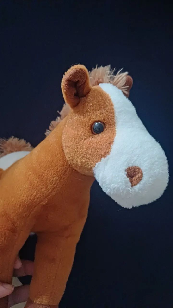 Cavalinho Buba - Foto 2