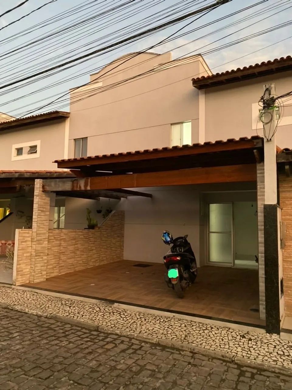 Foto - Feira de Santana - Papagaio