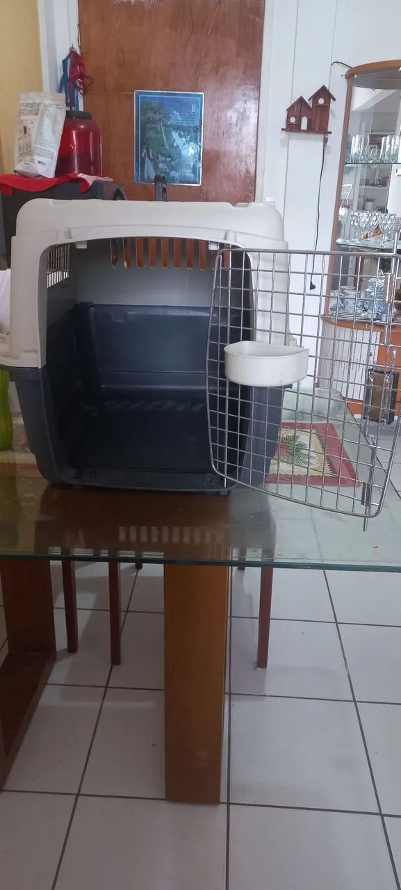 CAIXA TRANSPORTADORA PETZ