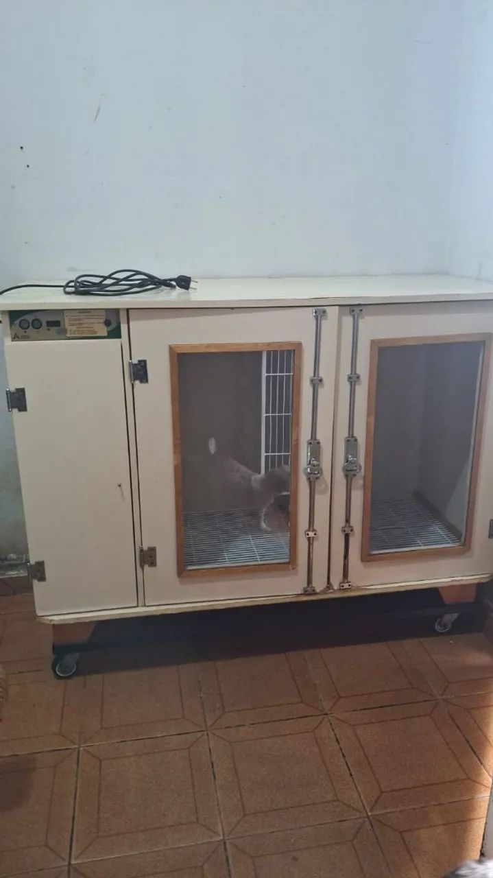 Máquina de secar cachorro