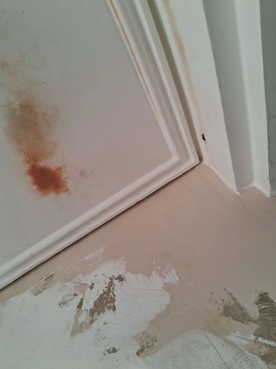 Gesseiro e montador de draywall - Foto 3