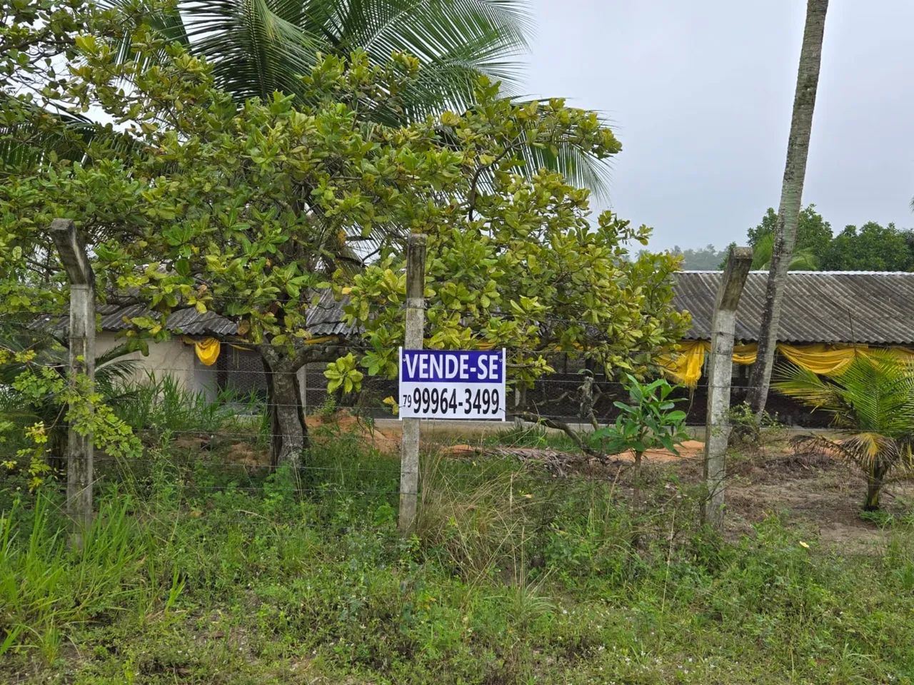 Vendo sítio povoado Jurubeba - São Cristóvão 