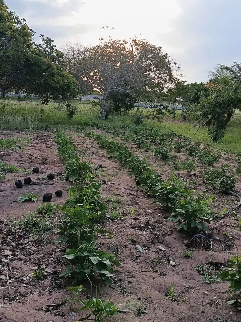 Recanto do Sossego  - Foto 4
