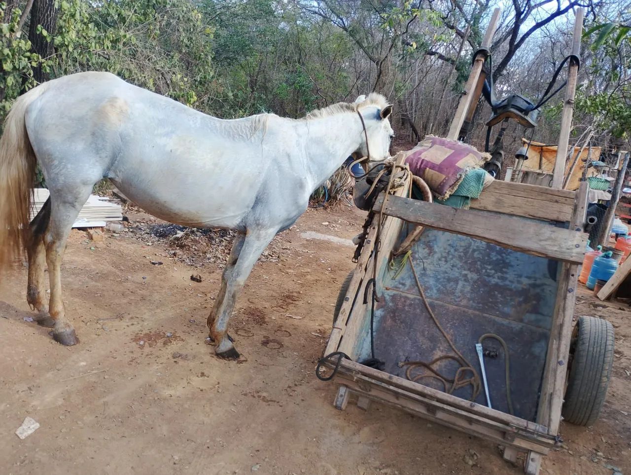 Vendo carroça arreada leia a escriçao   preço a combinar