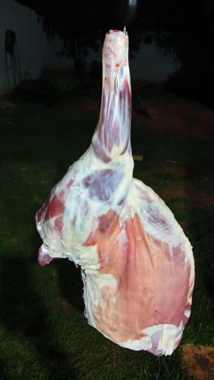 Carne de cordeiro 
