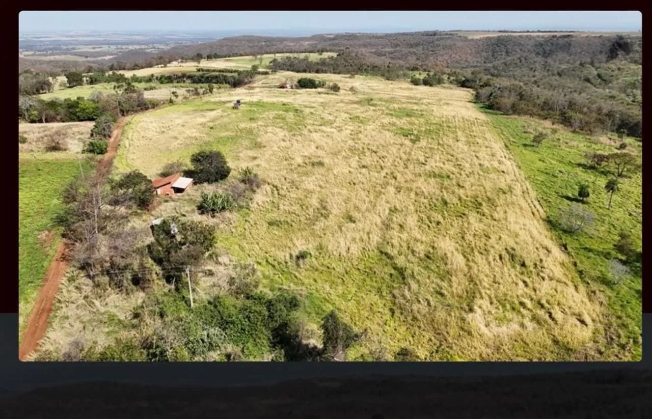 Aluguel de pasto - Foto 3