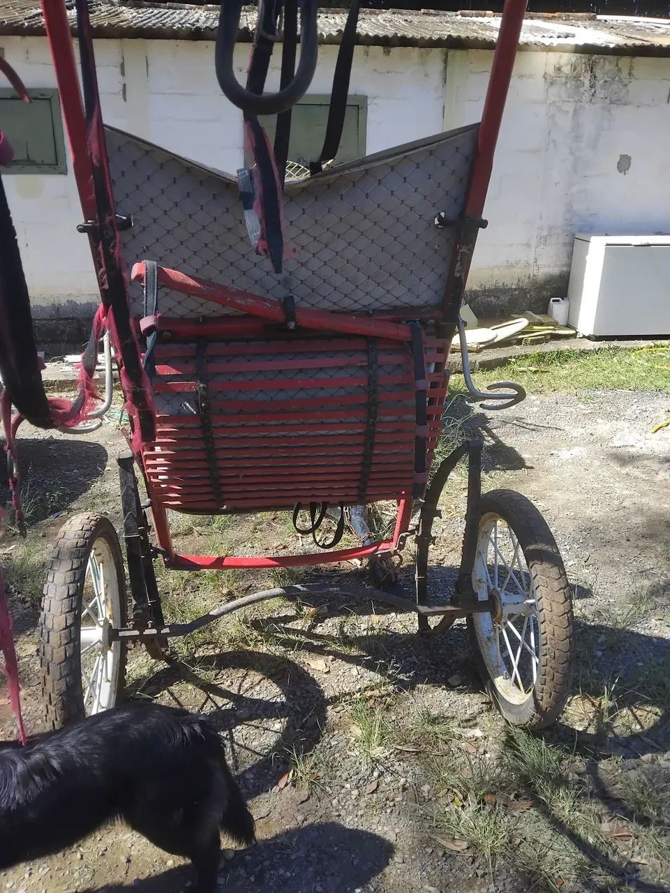Charreete aro 21 - Foto 2