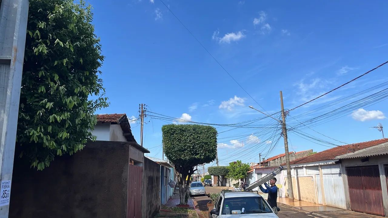Podas de árvores e geral  - Foto 3