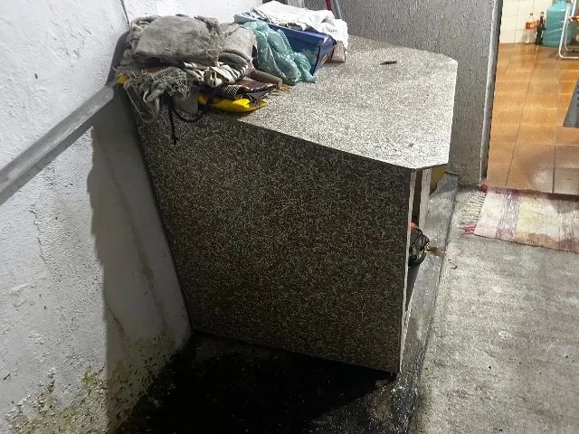 Casa de cachorro 