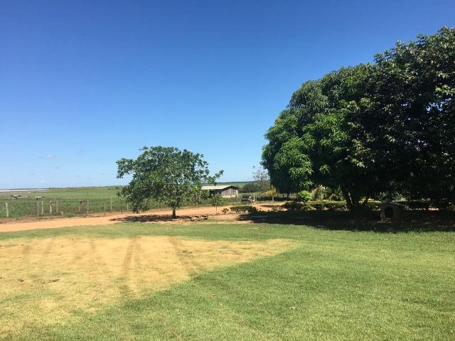 Granja com área de 40 hectares, localizada a 50 km de Lucas do Rio Verde - Foto 17