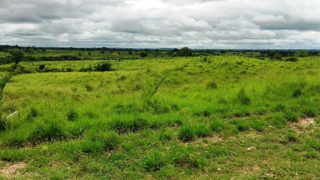 Fazenda 1700 alqueires na beira do Rio Araguaia-TO - Foto 6
