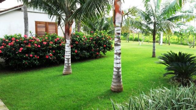 Fazenda 1700 alqueires na beira do Rio Araguaia-TO - Foto 10