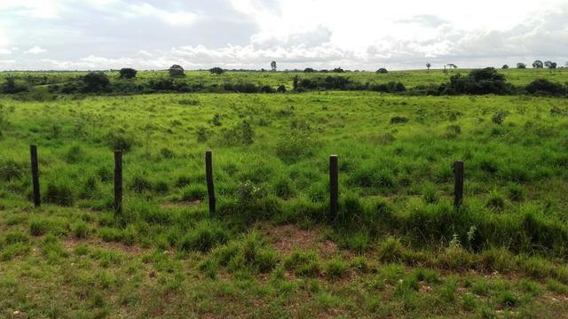 Fazenda 1700 alqueires na beira do Rio Araguaia-TO - Foto 7