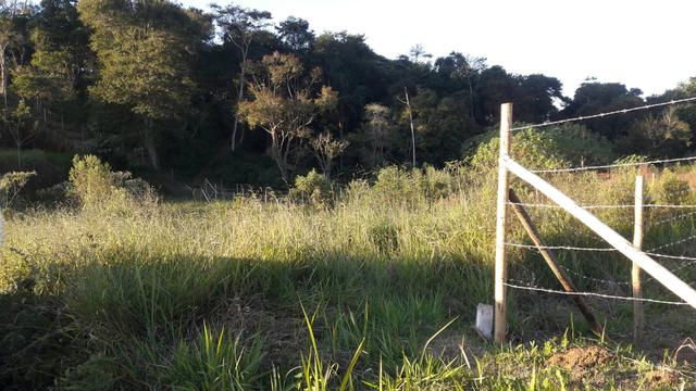 GRAMA - Residencial São Luiz (Kátia Corretora)
