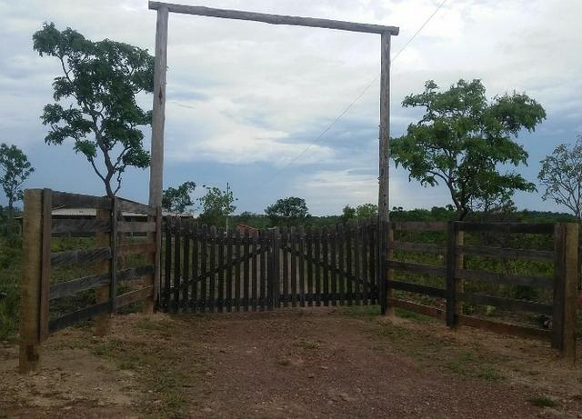 Vendo uma chácara de 2 hectares no coxipo do ouro ! - Foto 15