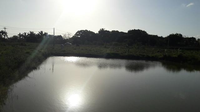 Vendo terreno com propriedade de 200m - Foto 4