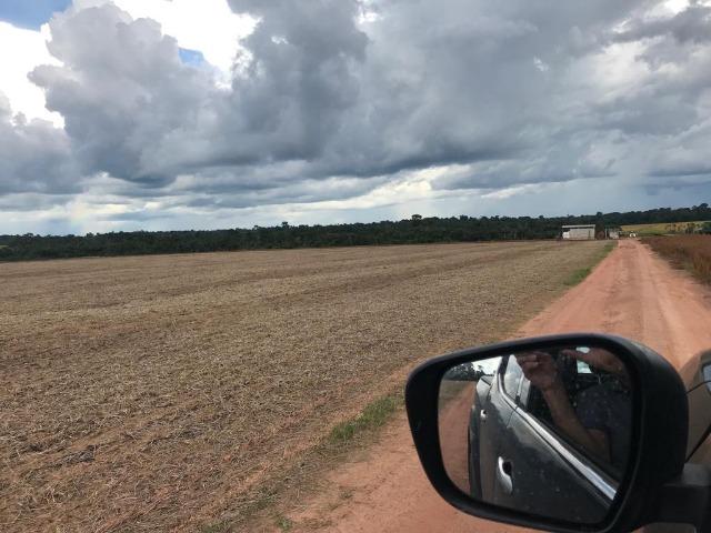 Fazenda 302 Hectares Plantando Lavoura - MT - Foto 2