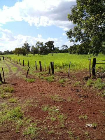 Fazenda 350,hectares beira do rio cuiaba - Foto 8