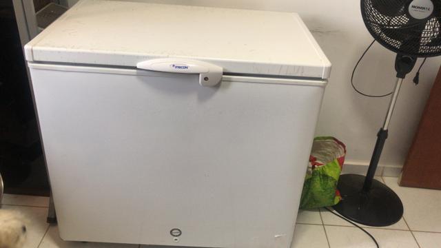 Frizer 310lt