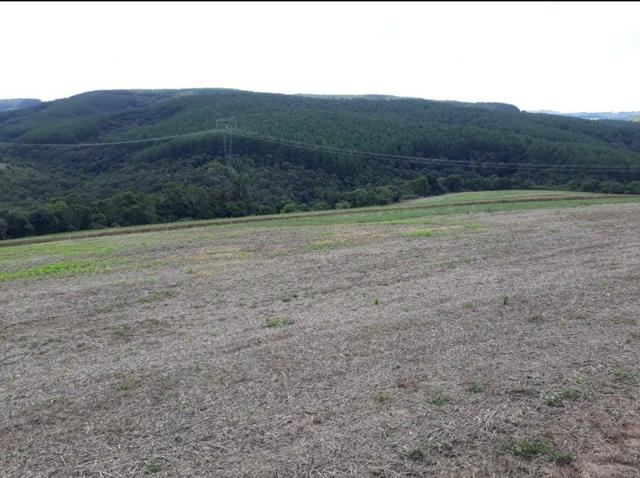Terreno rural - Foto 7