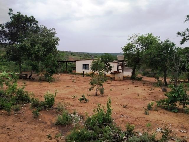 Elci Martins Vende Fazendinha em Três Marias, 50.000m2, água e luz - Foto 3