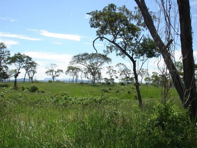 Fazenda 484 hectares em Governador Valadares/MG