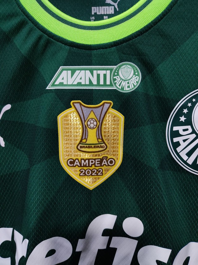 Camiseta Palmeiras Campeão Mundial Estilo Quebrada Premium em Promoção na  Americanas