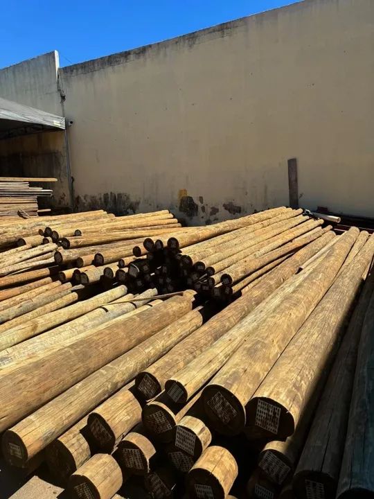 Promoção Imperdível: Eucalipto Tratado - Melhor Preço do Mercado - Temos todas Medidas - Foto 3